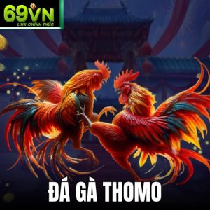 Ảnh Đại Diện Đá Gà Thomo